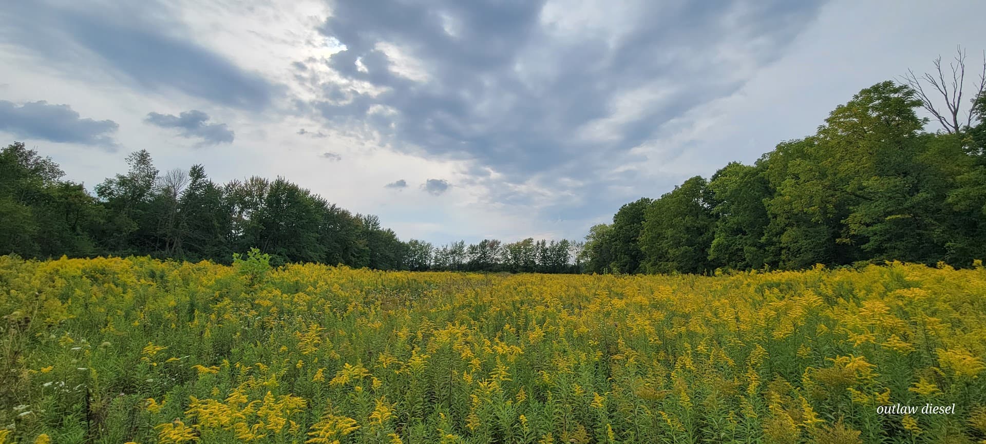 Tri County Fish & Wildlife Area Shooting Range - Image 6