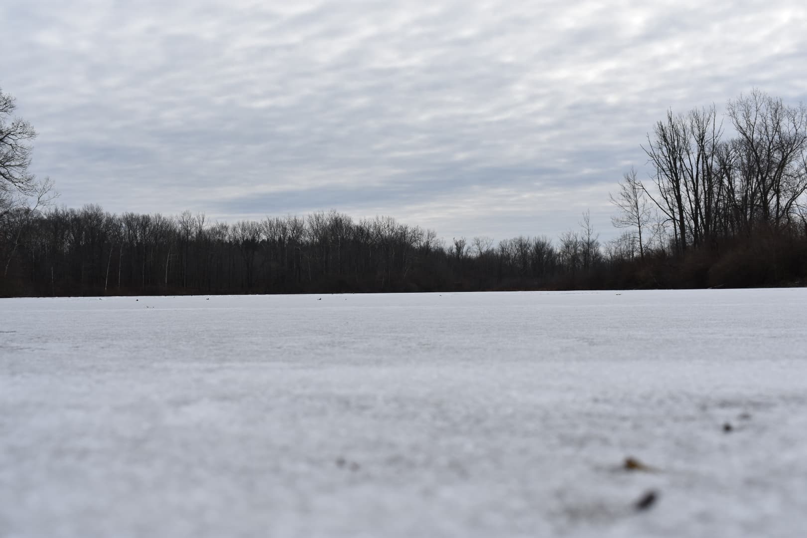 Tri County Fish & Wildlife Area Shooting Range - Image 8