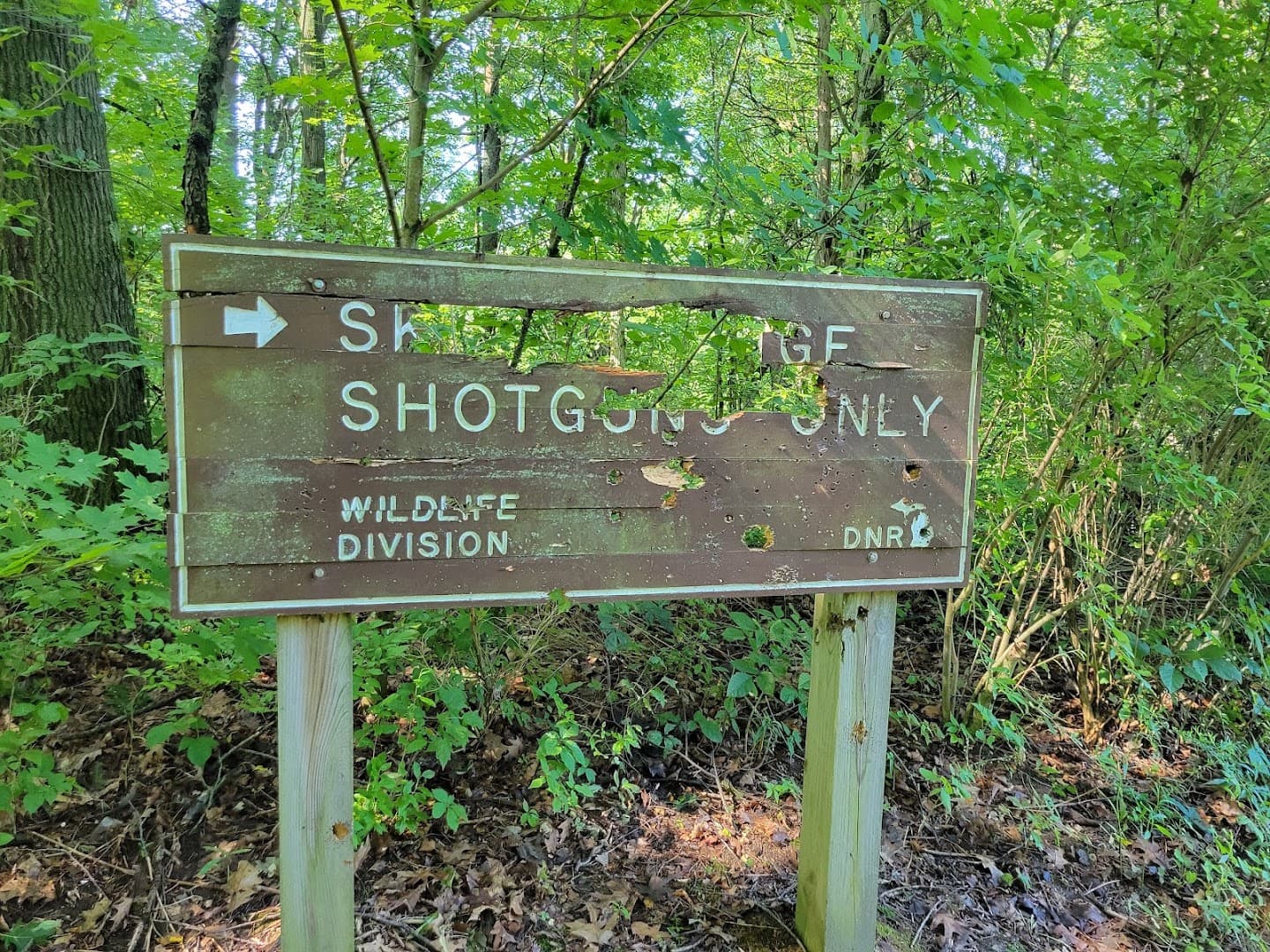 Lost Nation shooting range - Image 8