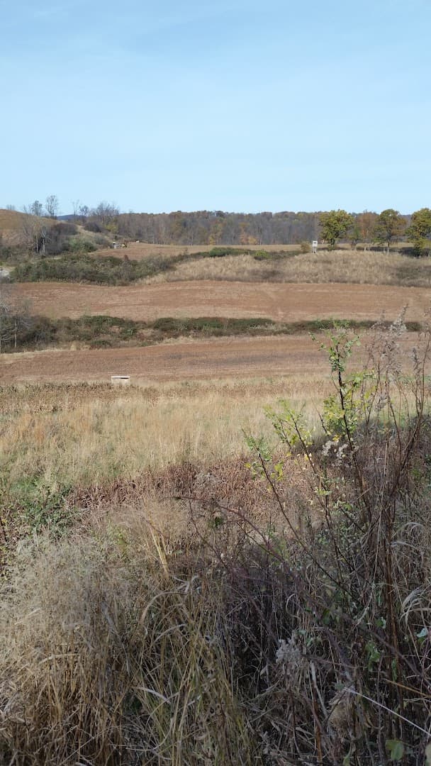 TNT Shooting Grounds - Image 6