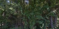 Marysville Sportsmen's Assoc. Grounds - Image 3