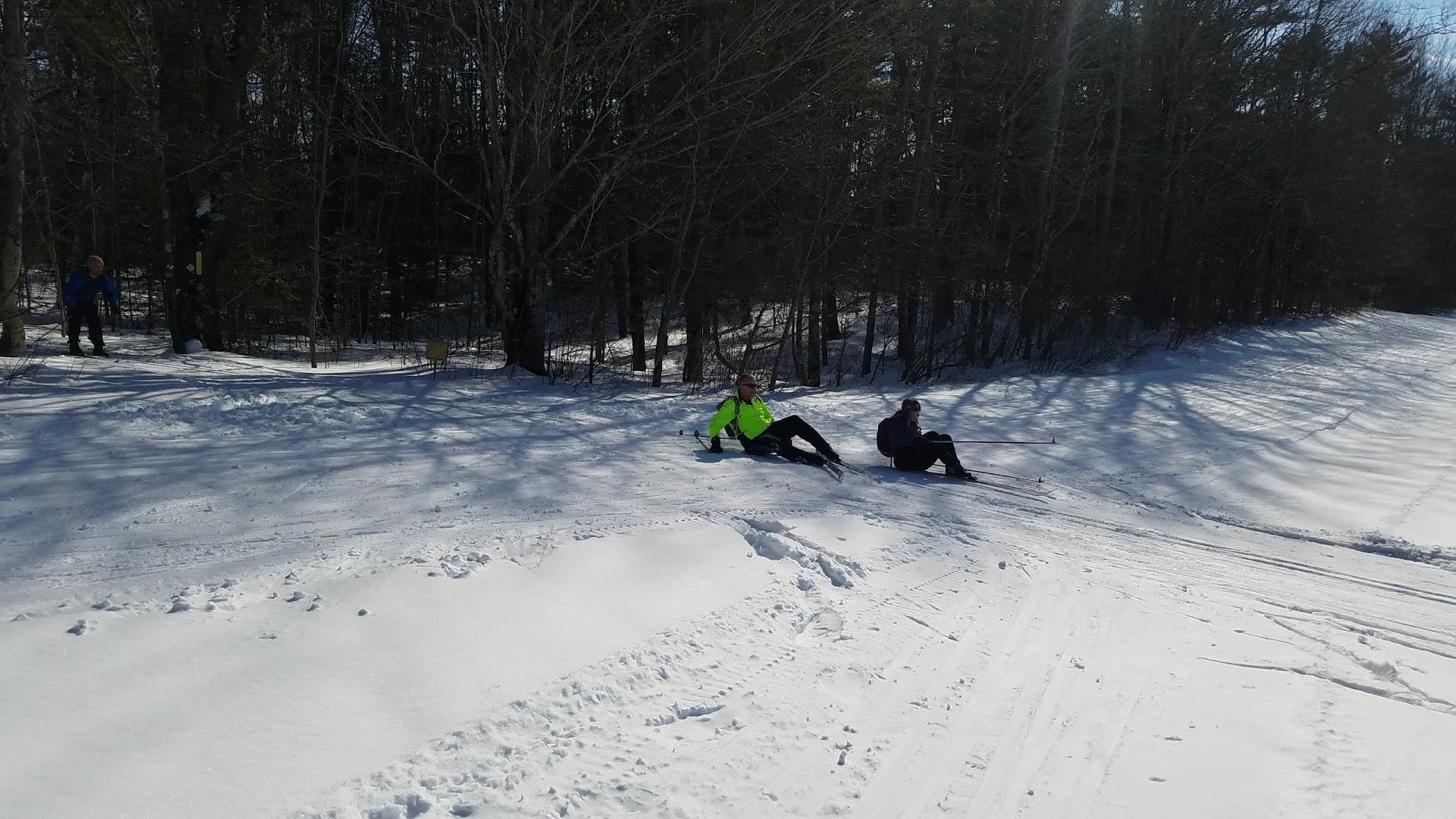 L.L.Bean Fogg Farm - Image 6